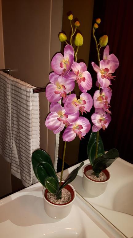 丰沙尔Casa Violeta别墅 外观 照片